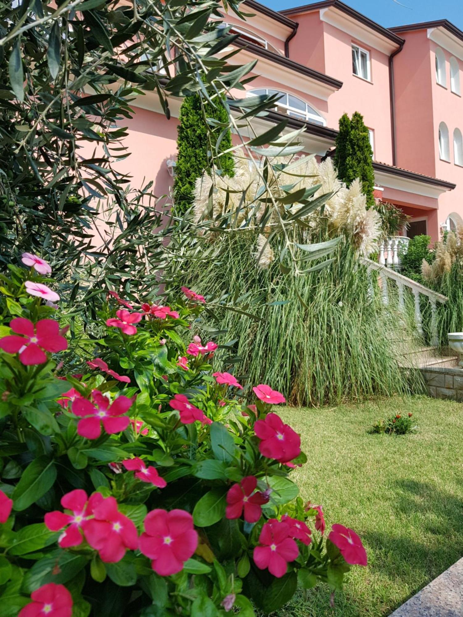 Apartments And Rooms Villa Chiara Krnica Εξωτερικό φωτογραφία