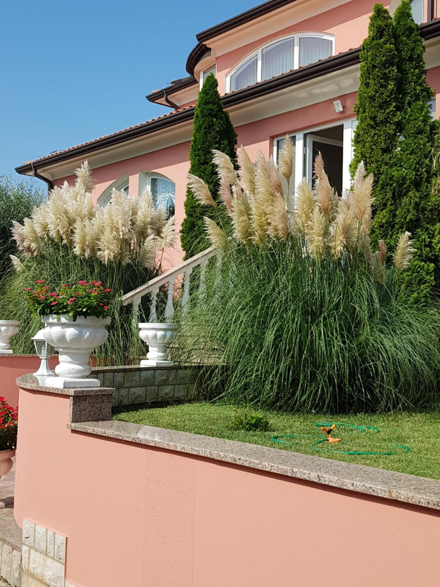 Apartments And Rooms Villa Chiara Krnica Εξωτερικό φωτογραφία