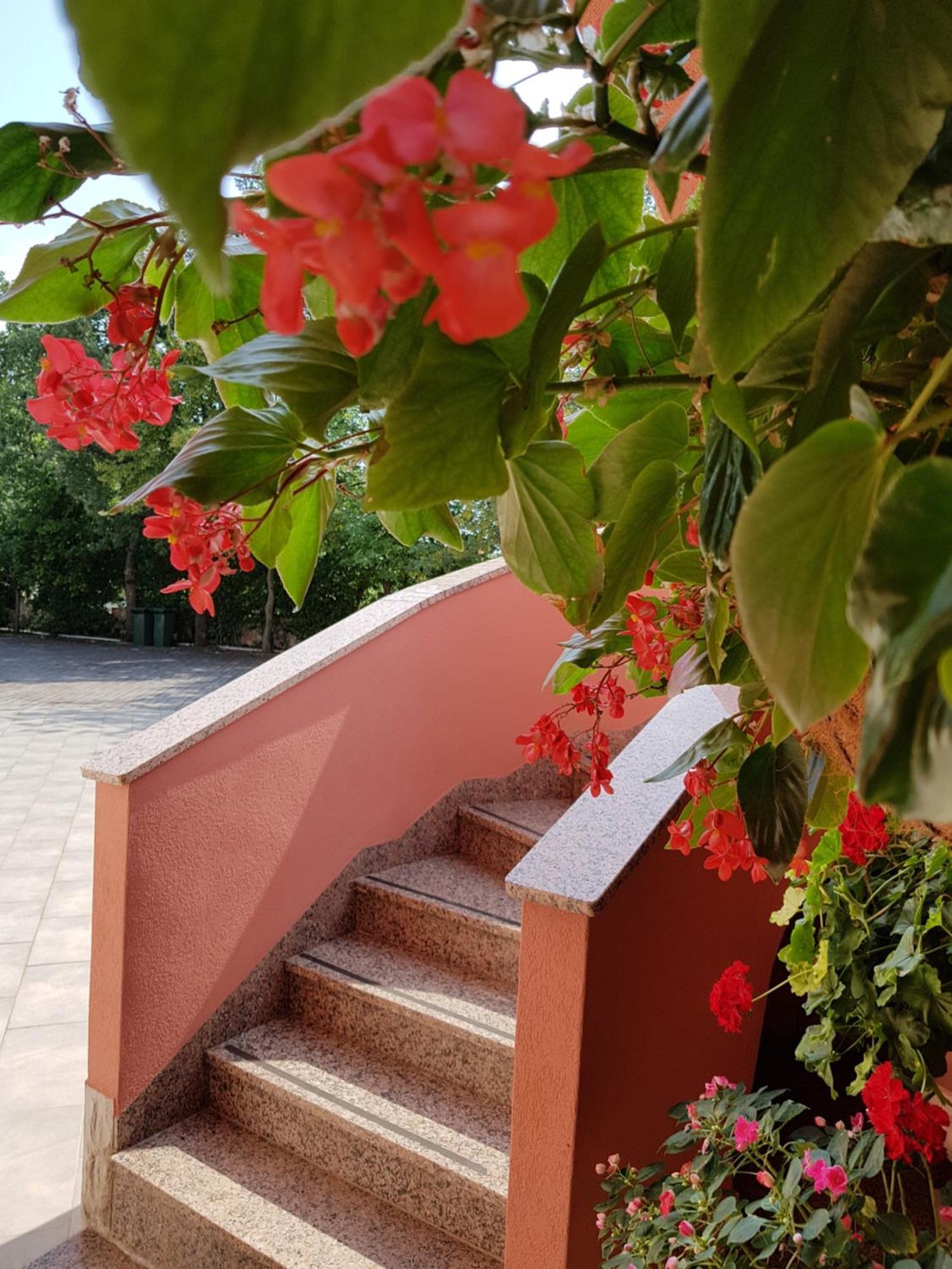 Apartments And Rooms Villa Chiara Krnica Εξωτερικό φωτογραφία