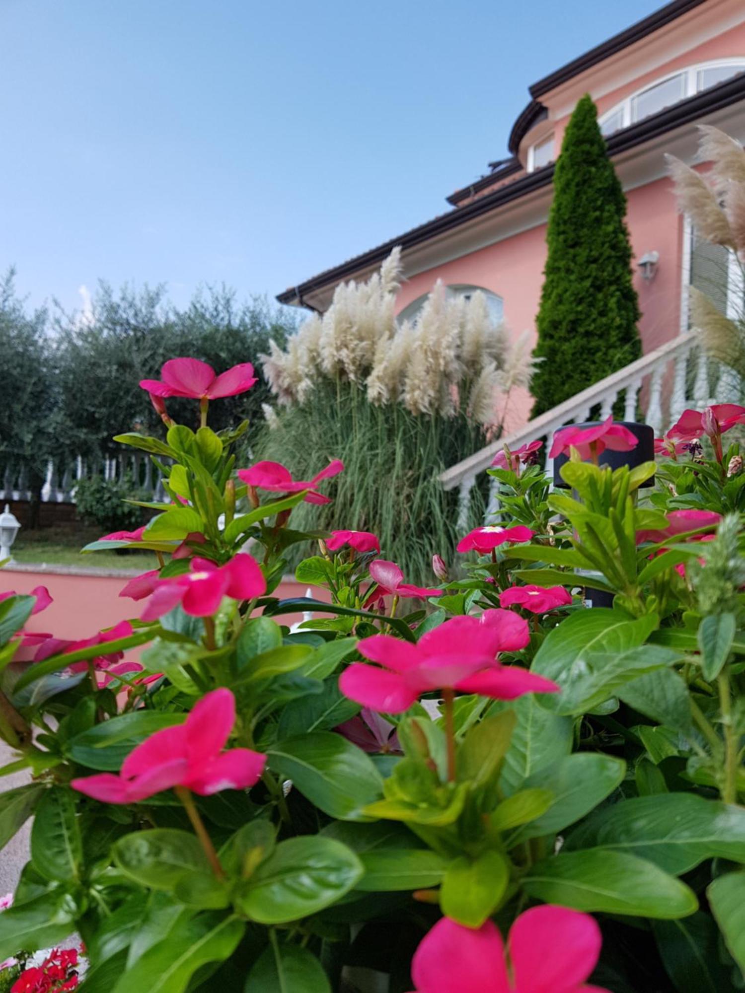 Apartments And Rooms Villa Chiara Krnica Εξωτερικό φωτογραφία