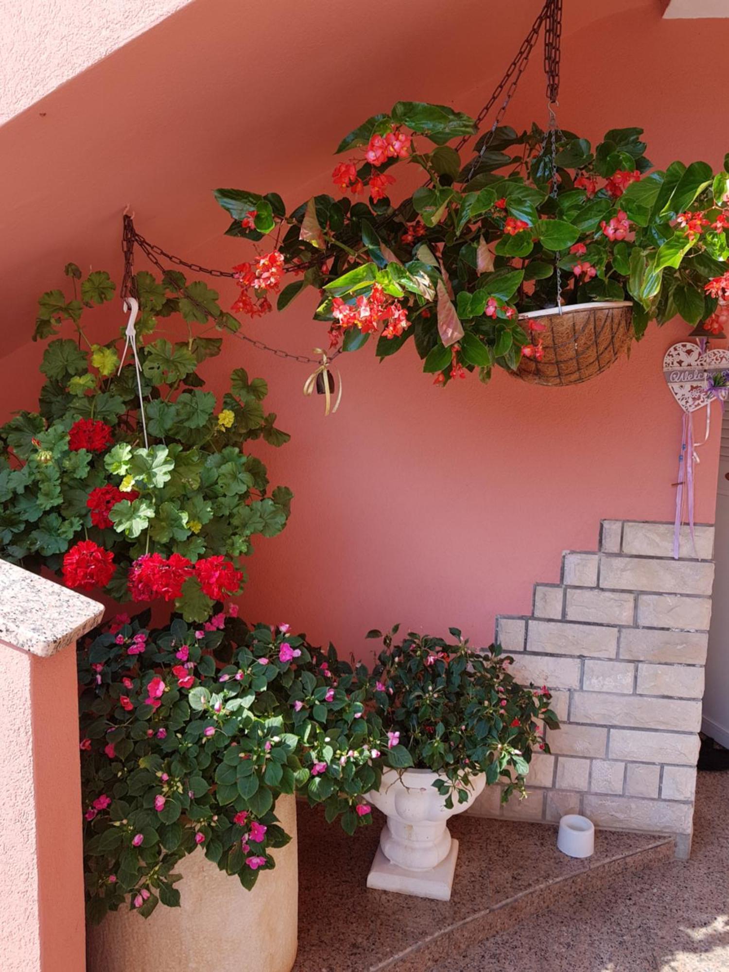 Apartments And Rooms Villa Chiara Krnica Εξωτερικό φωτογραφία