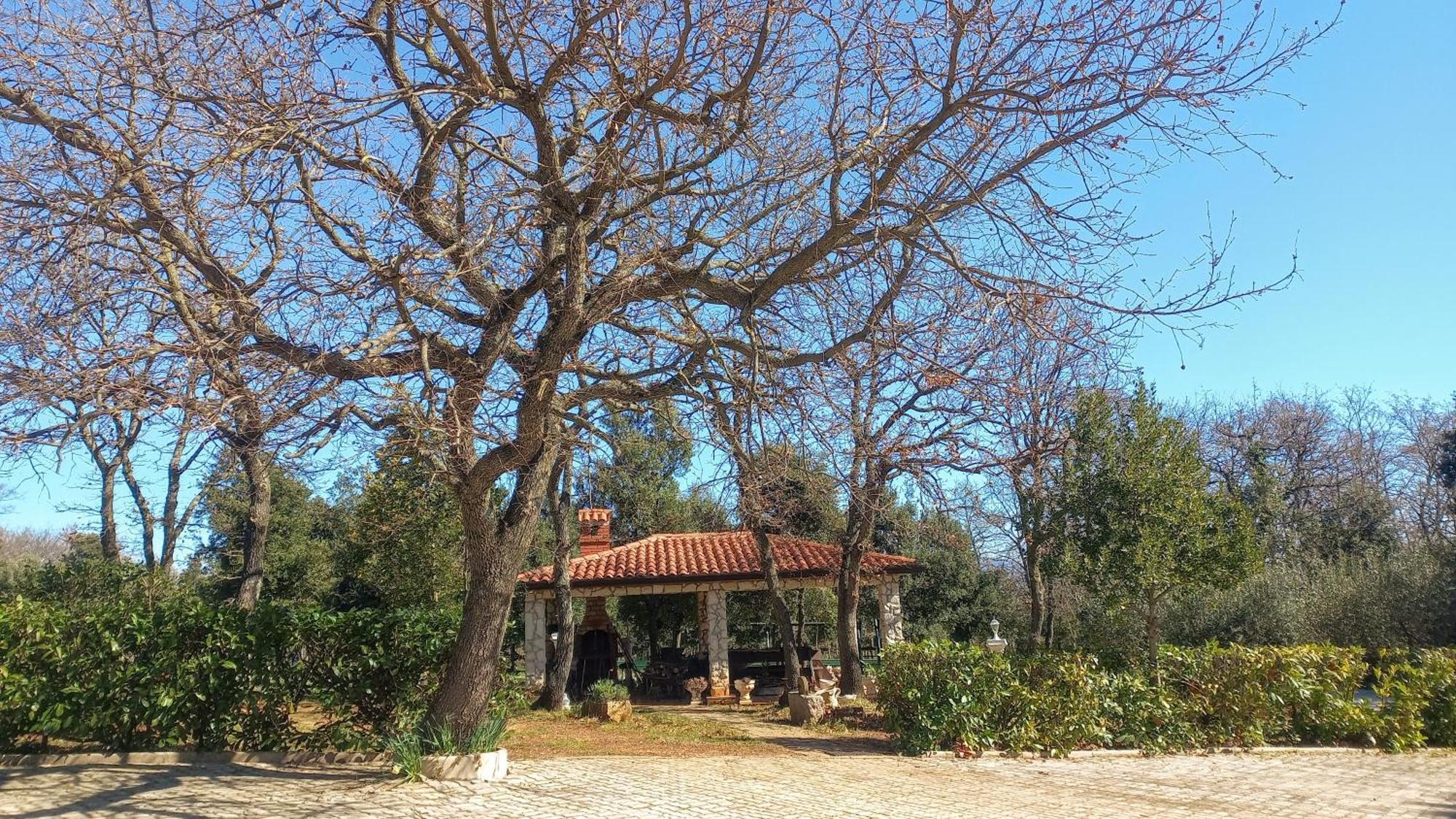 Apartments And Rooms Villa Chiara Krnica Εξωτερικό φωτογραφία